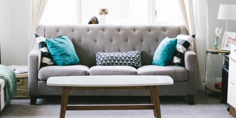 Frozen Indian Squid Whole 3/6 size Suppliers in UAE