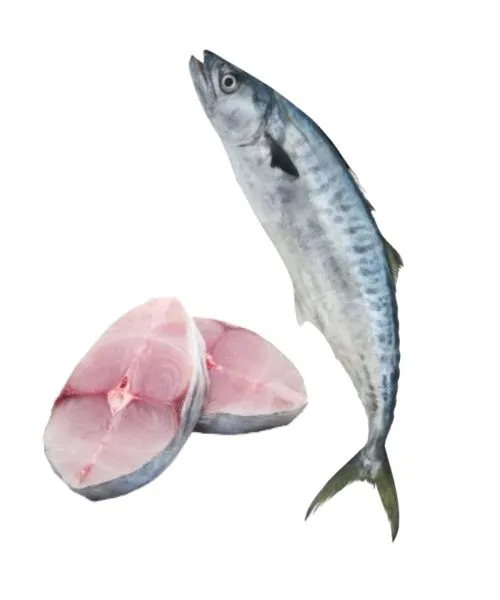 Foodstuff Supplier King fish slice supplier in UAE