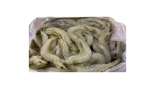 Foodstuff Supplier Iranian Shrimps 50/60 size price