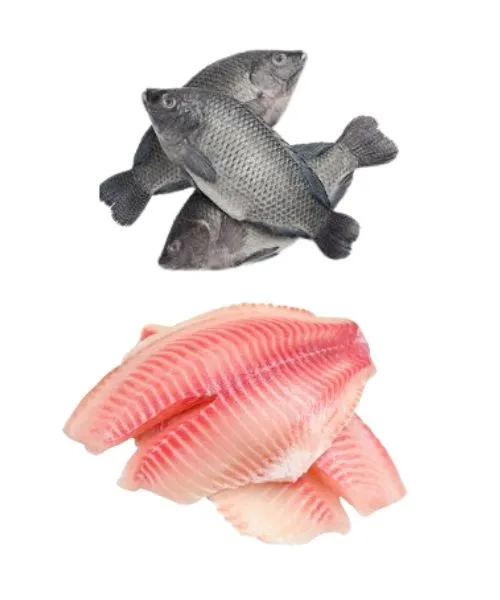 Frozen Tilpaia Fillet
