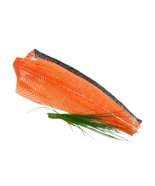 Frozen salmon fillet skin on