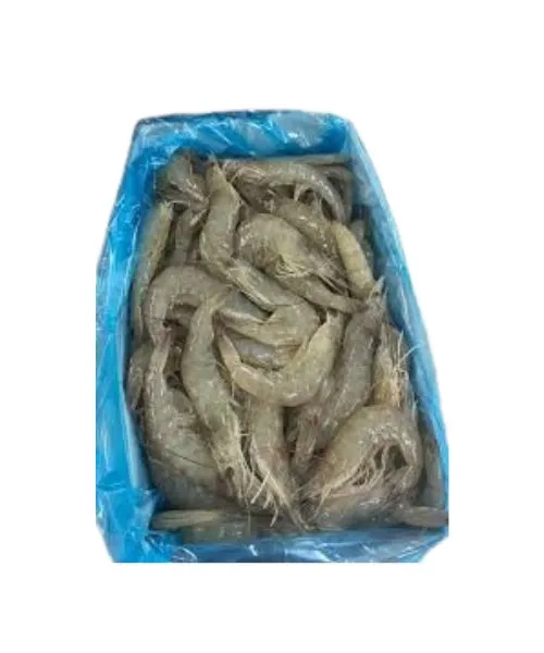 Foodstuff Supplier Iranian Shrimps 50/60 size suppliers in UAE