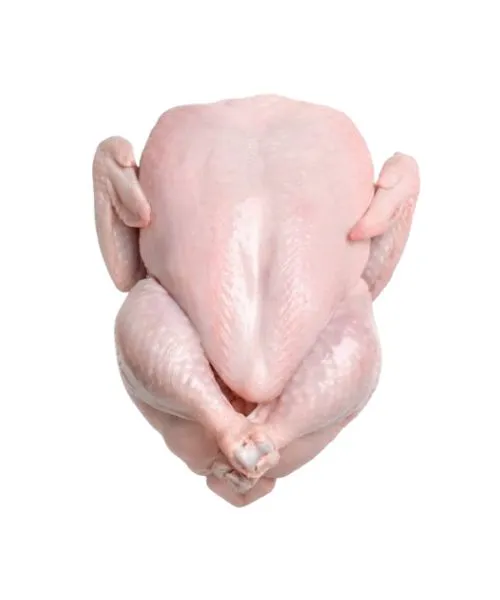 Frozen Chicken Suppliers in UAE