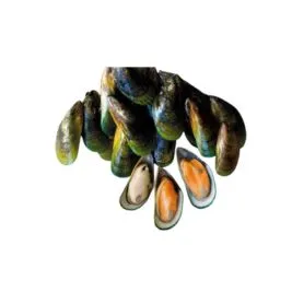 Mussels suppliers in UAE