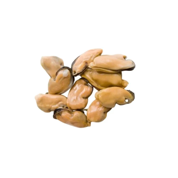 Frozen Mussels Meat China