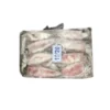 Frozen squid whole 10/20