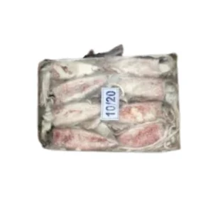 Frozen squid whole 10/20