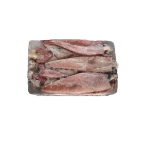 Frozen Squid whole 3/6 price