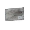 Frozen Squid whole U3 suppliers in Dubai