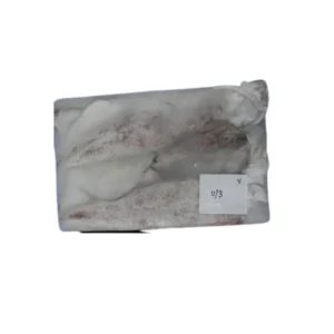 Frozen Squid whole U3 suppliers in Dubai