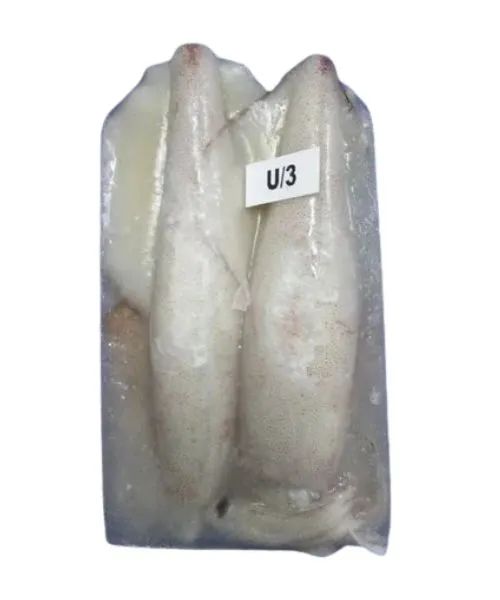 Foodstuff Supplier Frozen Squid whole U3 suppliers in Al Qouz