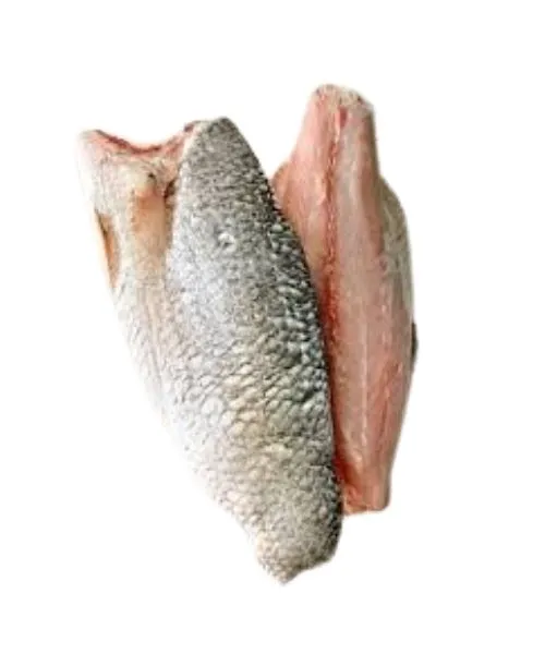 Frozen Barramundi Fillet skin suppliers in UAE