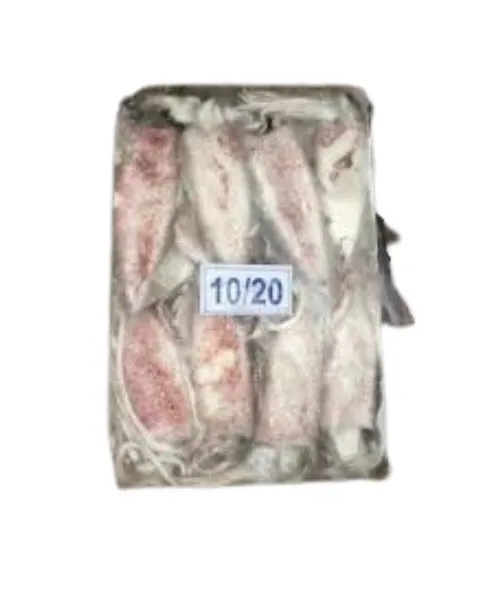 Foodstuff Supplier Frozen Squid whole 10/20 price in UAE