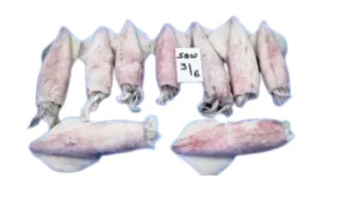 Foodstuff Supplier Frozen Squid whole 3/6 suppliers in Al Qouz