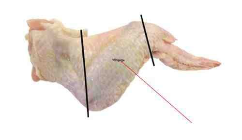 Foodstuff Supplier Chicken Lower wings cuttings price in Dubai