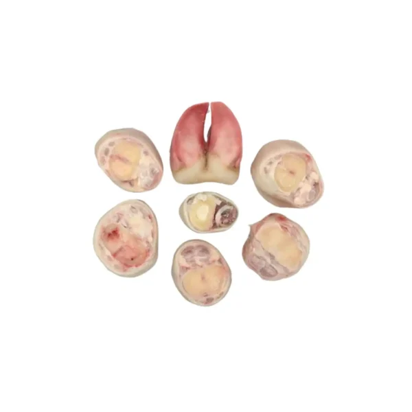 Beef Feet frozen cutted in UAe