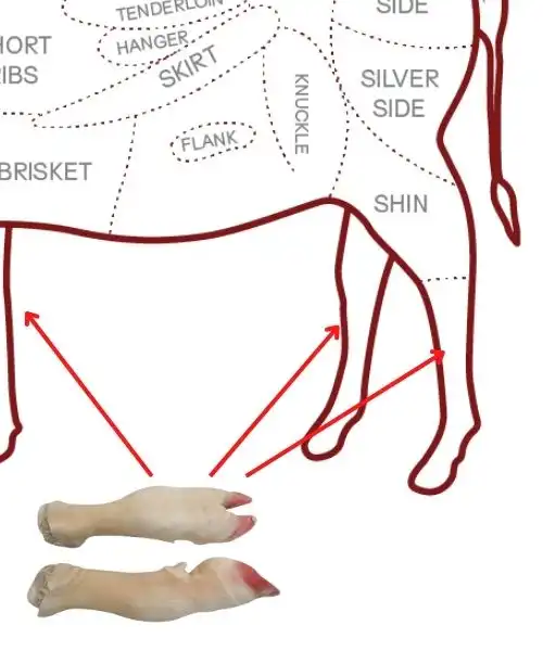 Frozen Beef feet price in Dubai