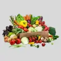 Vegetables suppliers in UAE