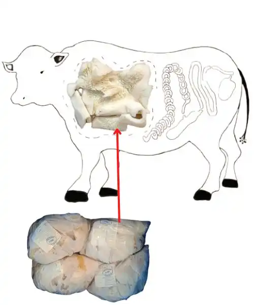 Beef tripe price in Dubai