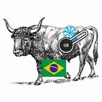 Frozen Brazil OX meat suppliers in UAE
