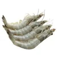 Irani Shrimps in Dubai