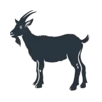 Mutton suppliers in UAE