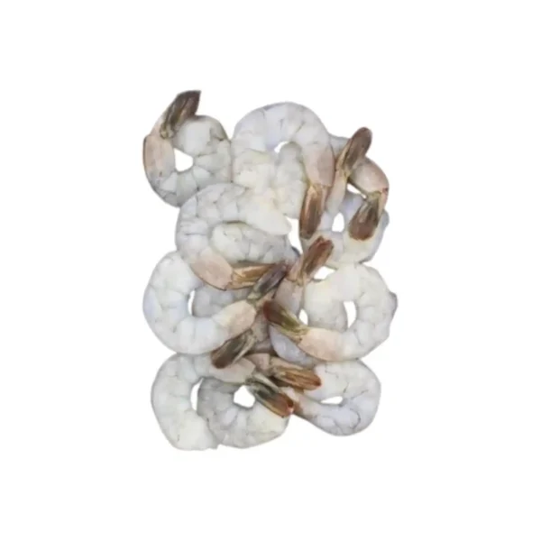 Shrimps PD Tail on 11/15
