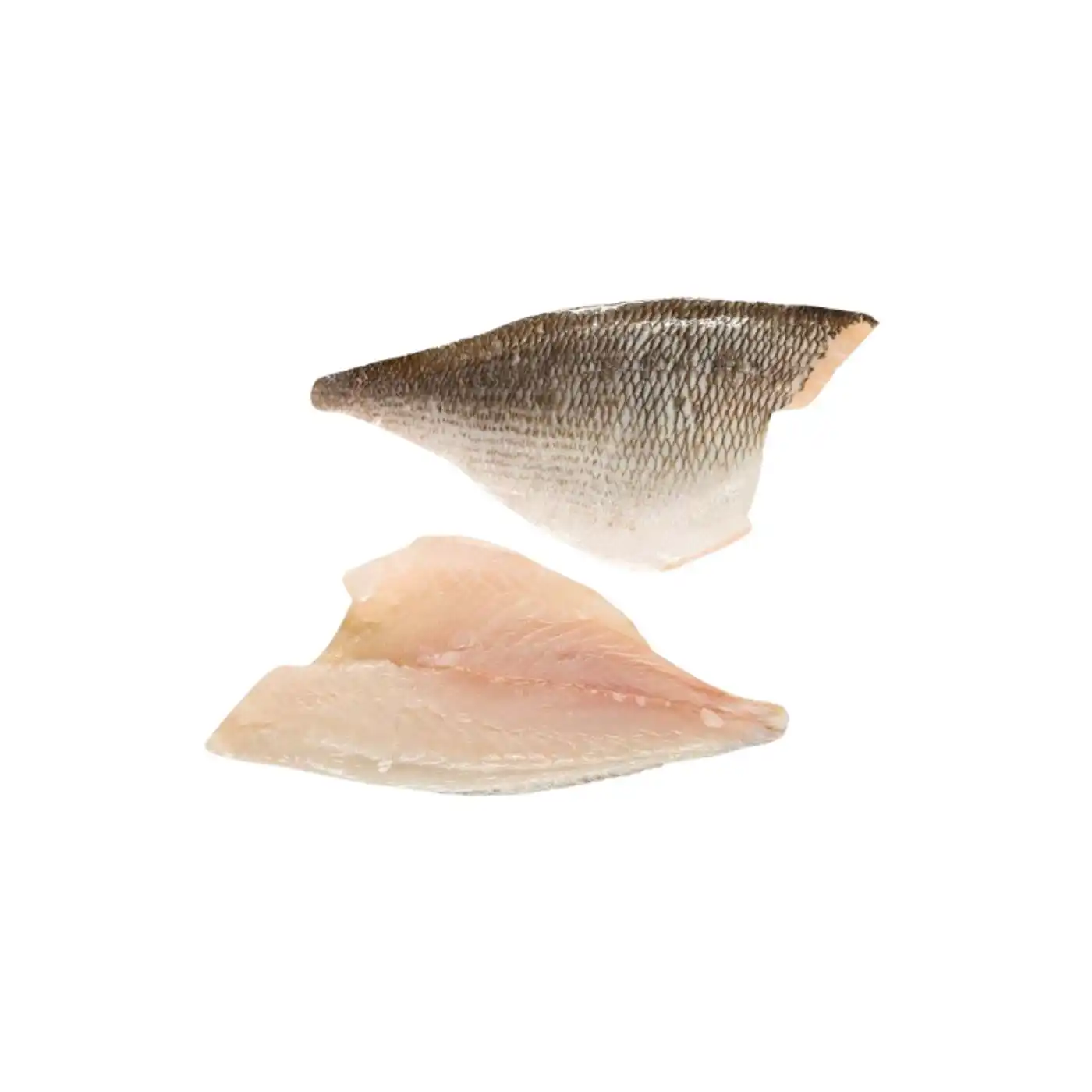 Sea bream Fillet