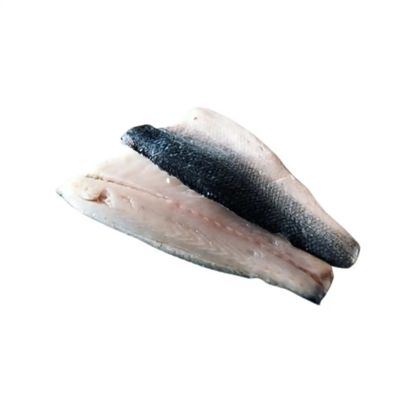 Seabass Fillet