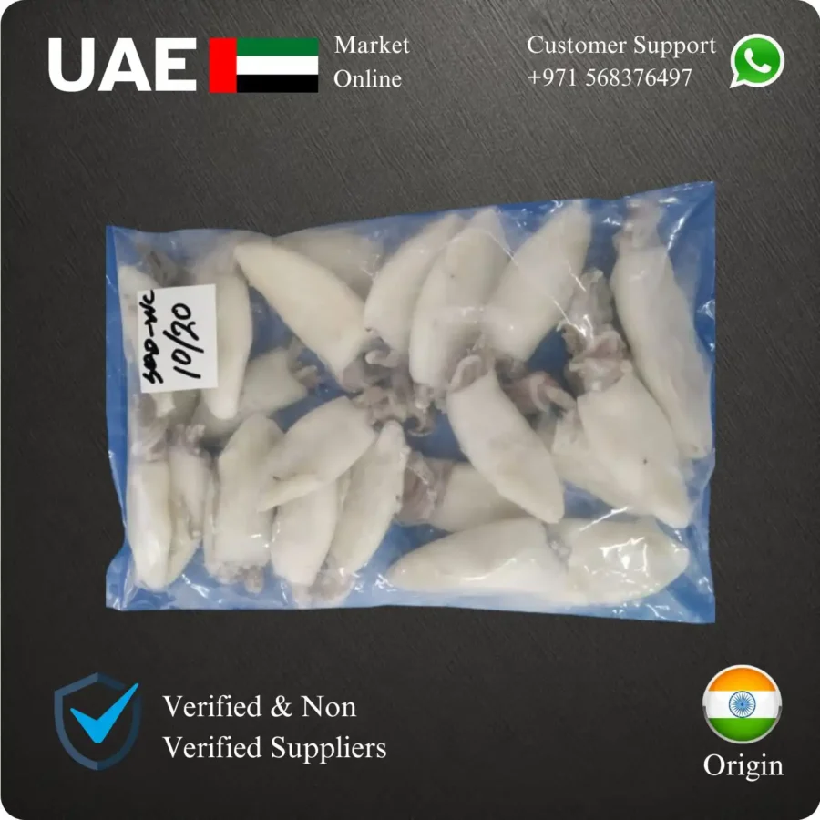 Frozen Indian Squid Whole cleaned IQF 10/20 size Suppliers in UAE
