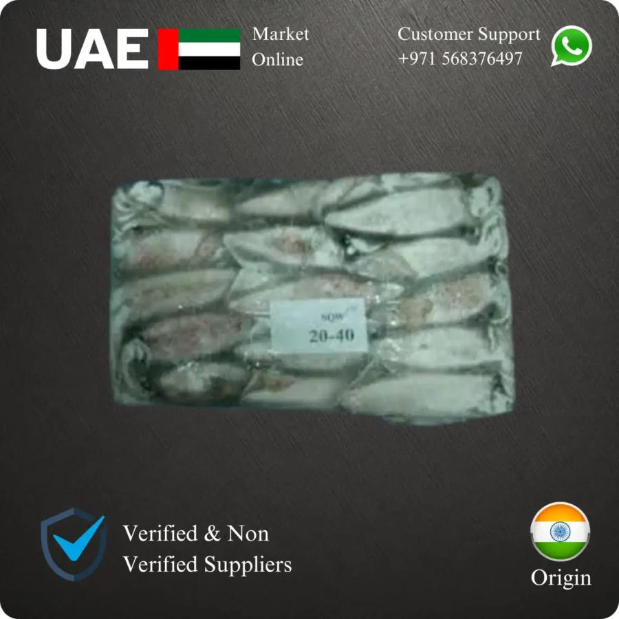 Frozen Indian Squid Whole 20/40 size Suppliers in UAE