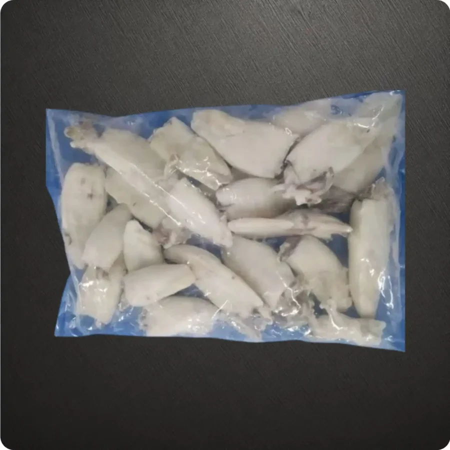 Frozen Indian Squid Whole cleaned IQF 20/40 size Suppliers in UAE