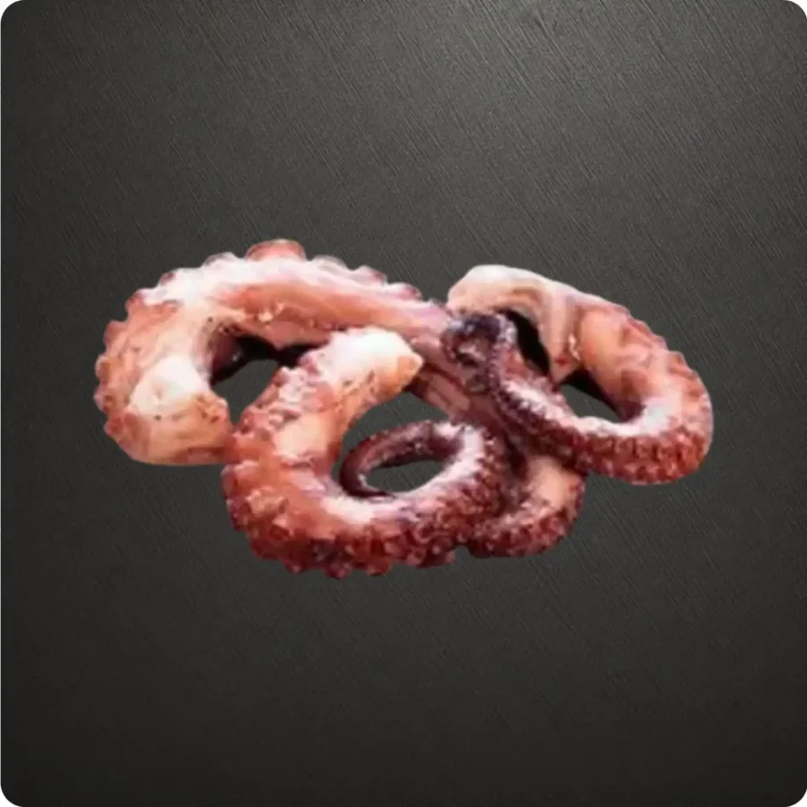Frozen China origin Octopus Tentacles Suppliers in UAE