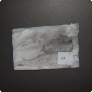 Frozen Indian Squid Whole U3 size Suppliers in UAE