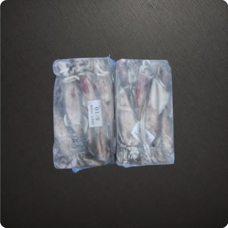 Frozen Indian Squid Whole 6/10 size Suppliers in UAE