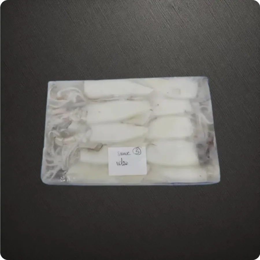 Frozen Indian Squid Whole cleaned 2 kg block 10/20 size Suppliers in UAE